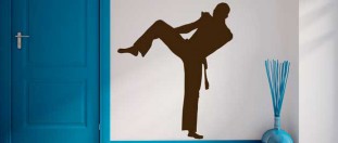 Nlepka na stnu Capoeira bojovnk, polep na stnu a nbytek